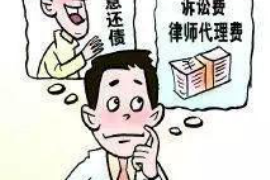 望江债务清欠服务